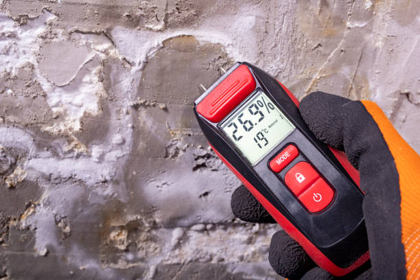Best Residential Mold Removal  in Closter, NJ