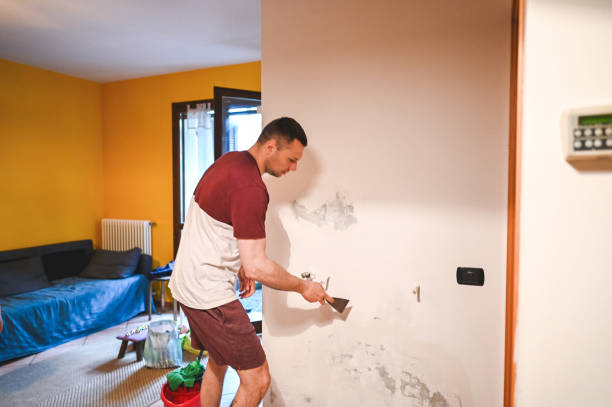 Best Certified Mold Removal  in Closter, NJ